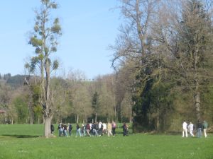 Emmausgang_02_Wallfahrt (3).jpg